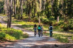 Hôtel de Chiberta et du Golf - photo 8