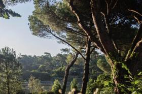 Hôtel de Chiberta et du Golf - photo 11