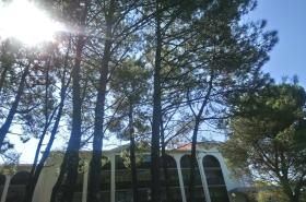 Hôtel Anglet Biarritz-Parme - photo 11