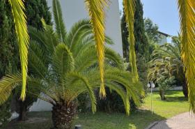 Hôtel Anglet Biarritz-Parme - photo 5