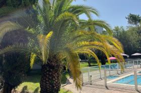 Hôtel Anglet Biarritz-Parme - photo 16