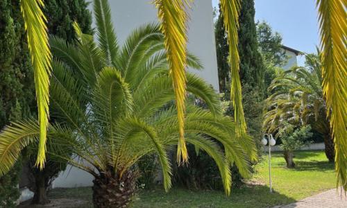 Hôtel Anglet Biarritz-Parme - photo 2